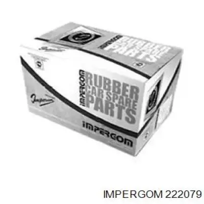 222079 Impergom mangueira (cano derivado superior de intercooler)