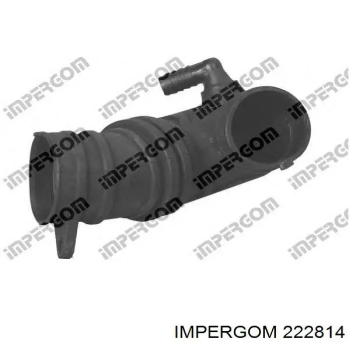 222814 Impergom