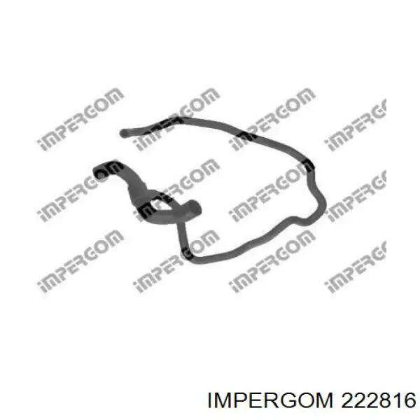 Купить 222816 Impergom Шланг радиатора охлаждения нижний
