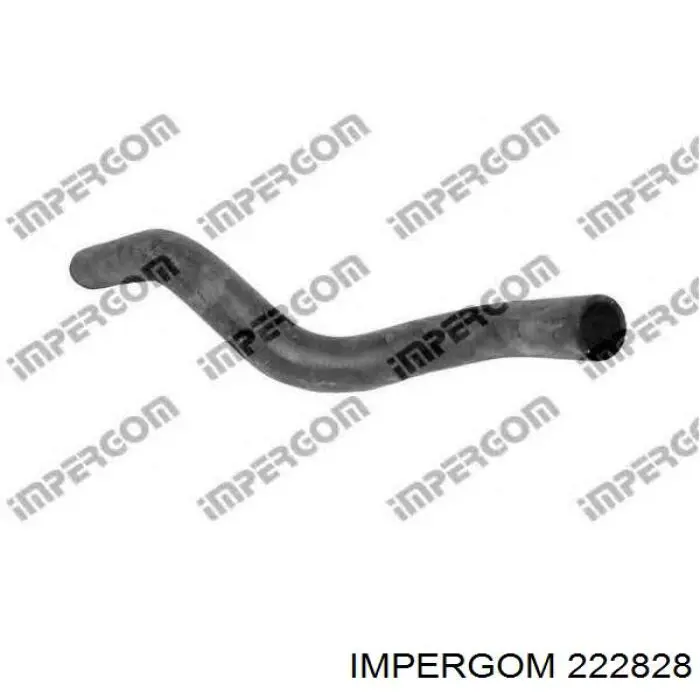  222828 Impergom