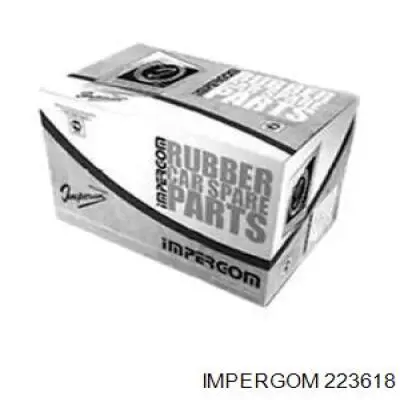 223618 Impergom Шланг радиатора печки