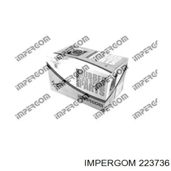 223736 Impergom mangueira (cano derivado inferior direita de intercooler)