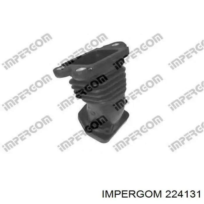 Патрубок воздушный, выход воздушного фильтра Impergom 224131 цена, от 25.04 USD