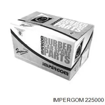 225000 Impergom mangueira (cano derivado direita de intercooler)