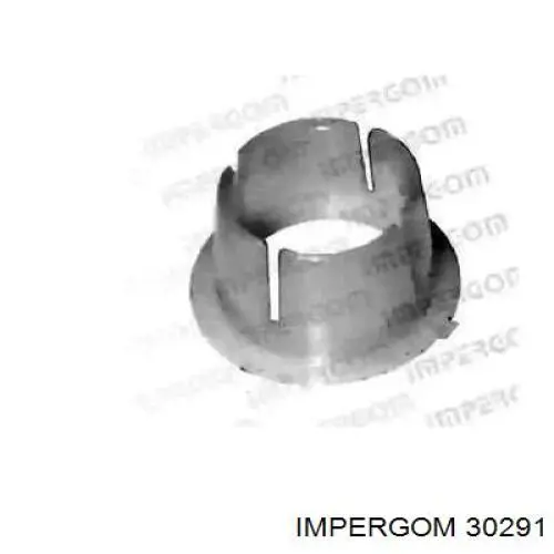  30291 Impergom