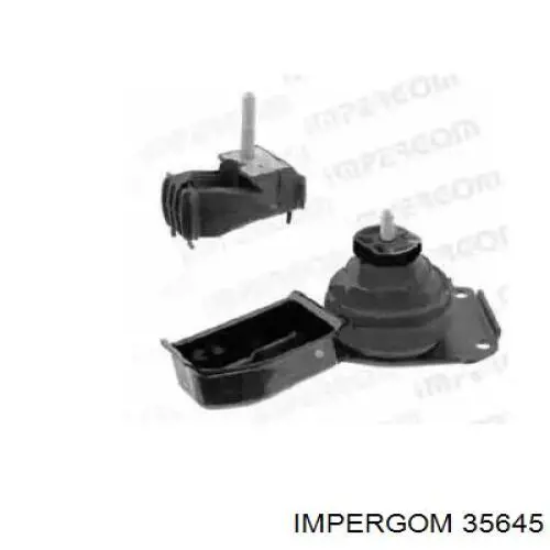 35645 Impergom coxim (suporte direito de motor)