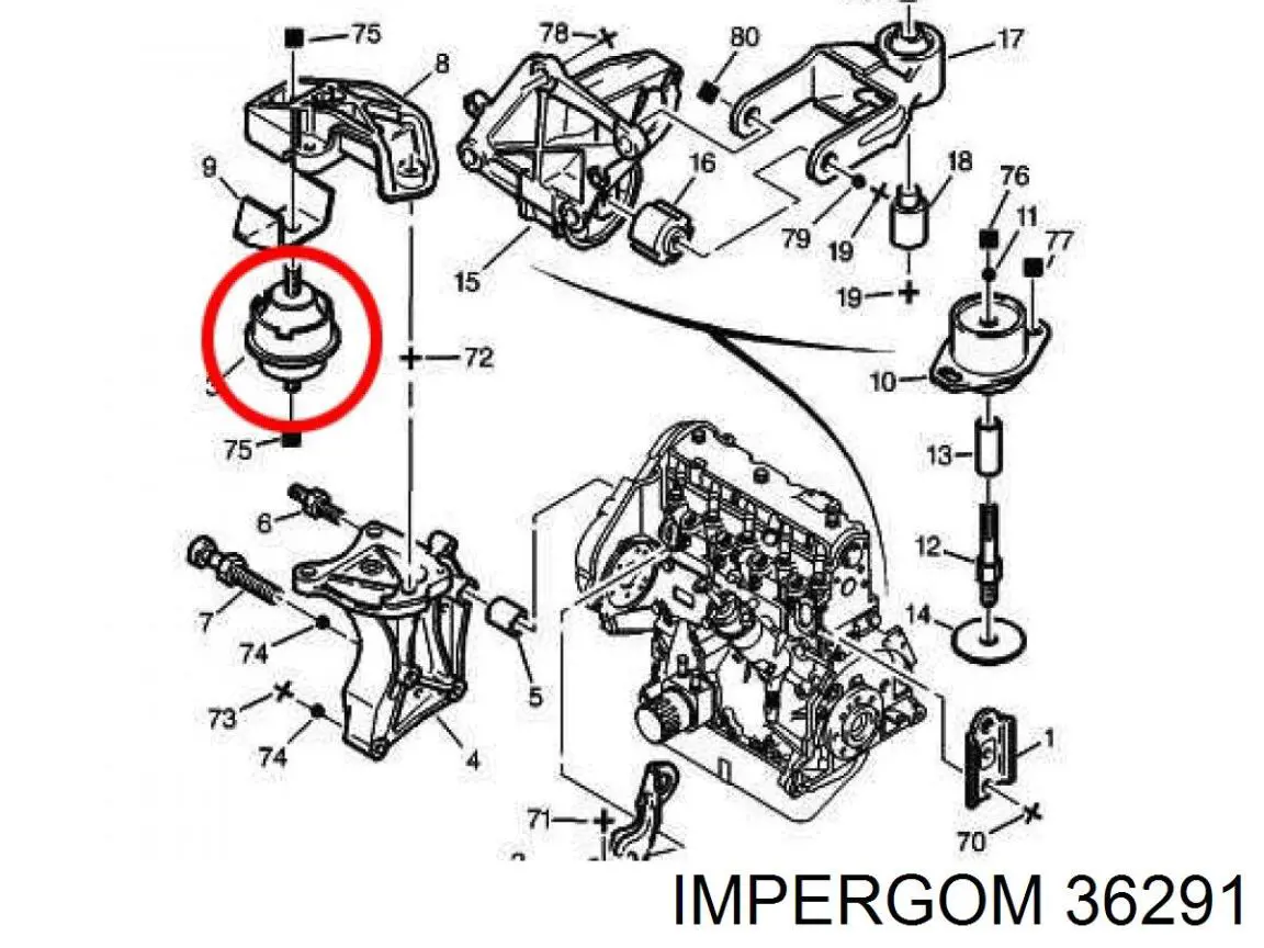Пыльник ШРУСа наружный 36291 Impergom