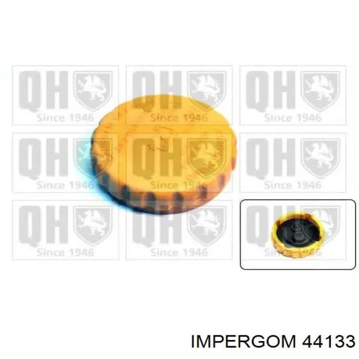 Купить 44133 Impergom Водяной бачок системы охлаждения