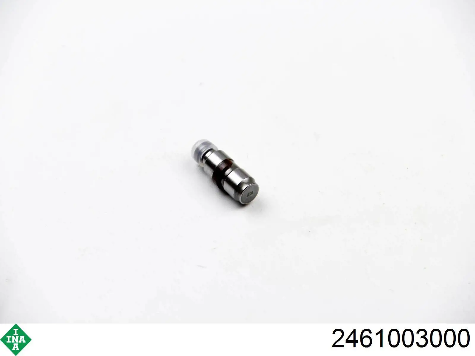 Гидрокомпенсатор 2461003000 INA