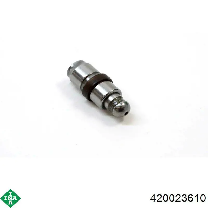 420023610 INA