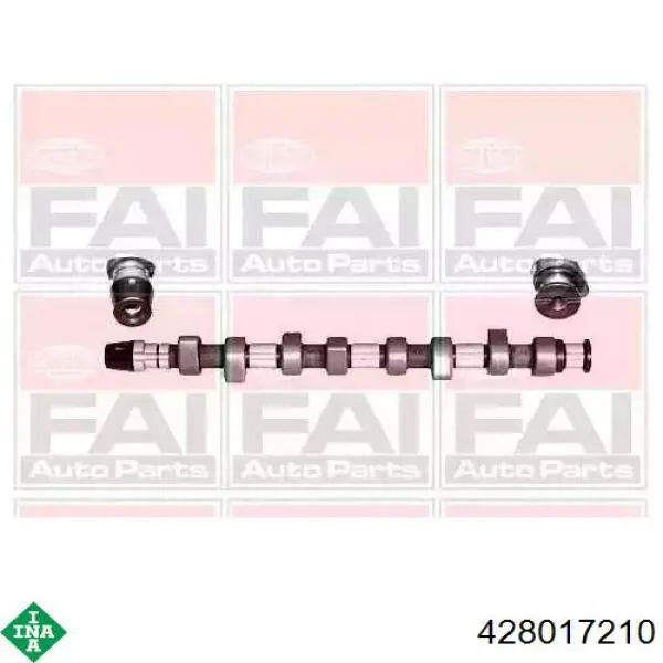 428017210 INA