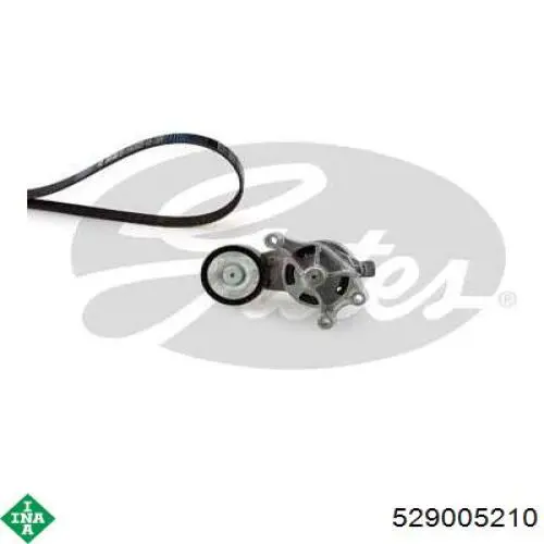 Ремень агрегатов приводной, комплект INA 529005210 цена, от 48.42 USD