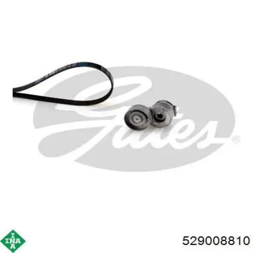 Ремень агрегатов приводной, комплект INA 529008810 цена, от 56.00 USD
