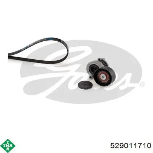 Ремень агрегатов приводной, комплект INA 529011710 цена, от 56.81 USD