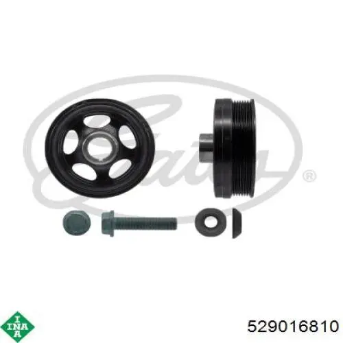 Ремень агрегатов приводной, комплект INA 529016810 цена, от 226.59 USD