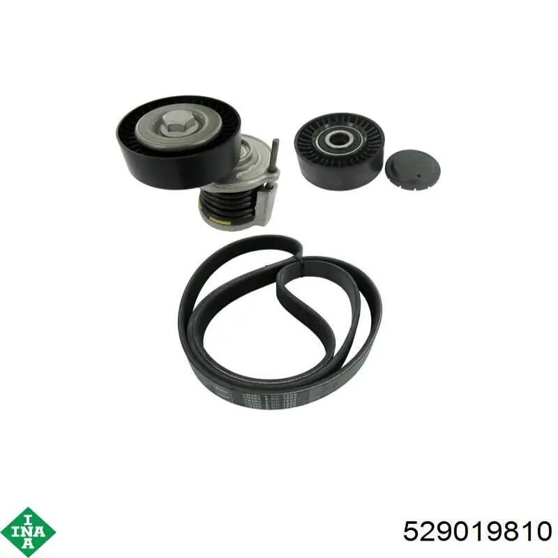 Ремень агрегатов приводной, комплект INA 529019810 цена, от 94.03 USD