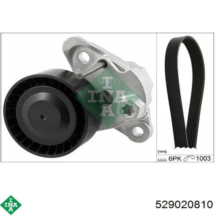Ремень агрегатов приводной, комплект INA 529020810 цена, от 48.80 USD
