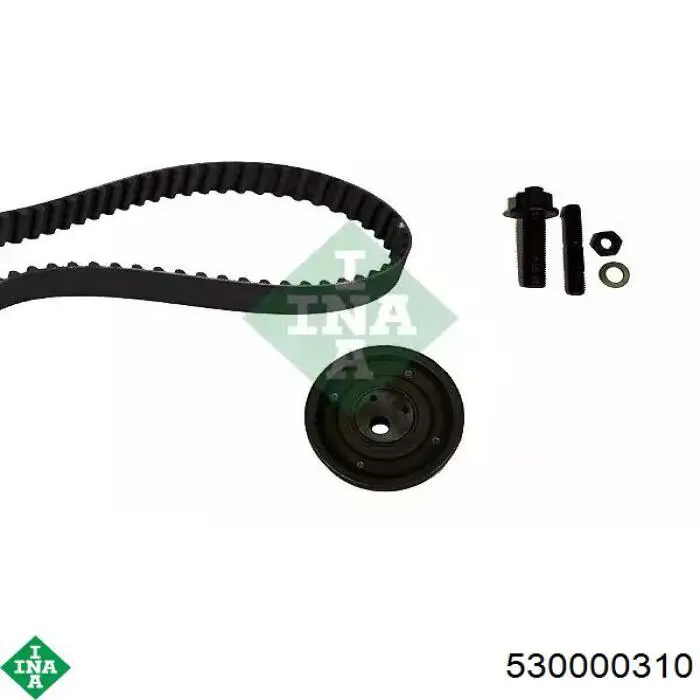 Купить 530000310 INA Комплект ГРМ