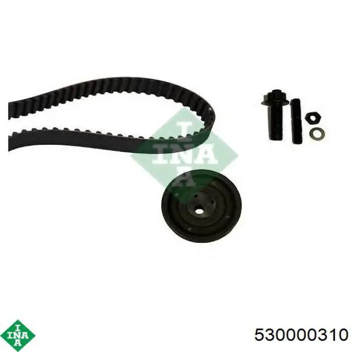 Комплект ГРМ 530000310 INA