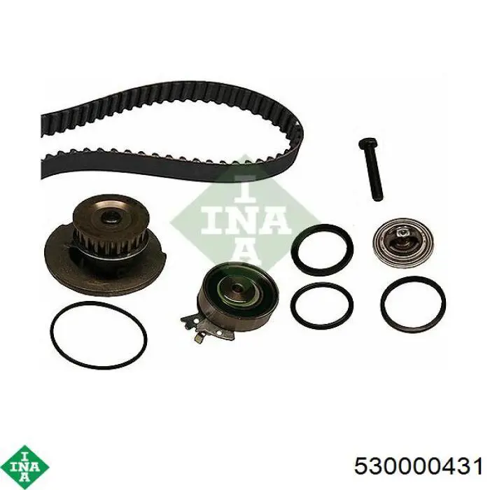 530000431 INA