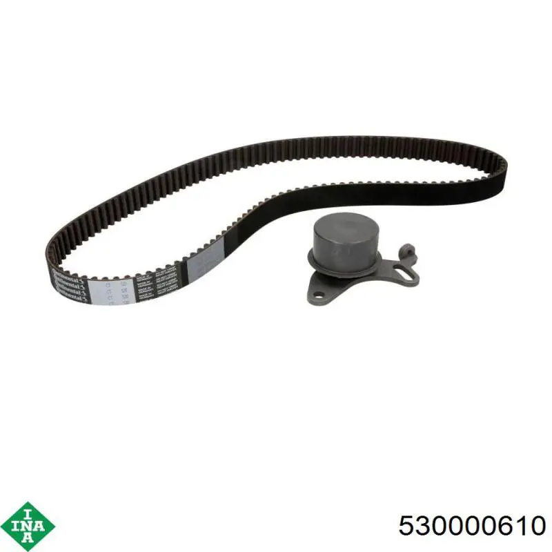 Комплект ГРМ 530000610 INA