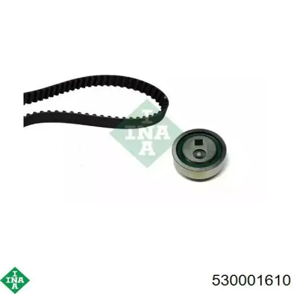 Комплект ГРМ 530001610 INA