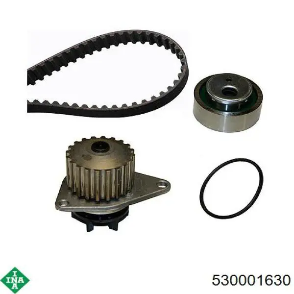 Комплект ГРМ 530001630 INA
