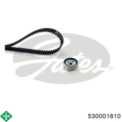 ГРМ ремни, комплект INA 530001810 цена, от 31.56 USD