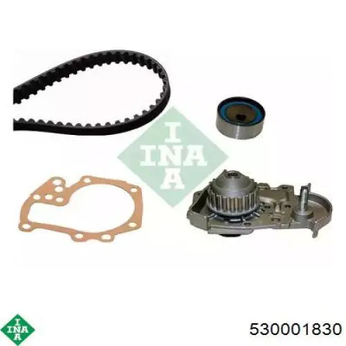 Комплект ГРМ 530001830 INA
