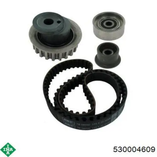 Комплект ГРМ 530004609 INA