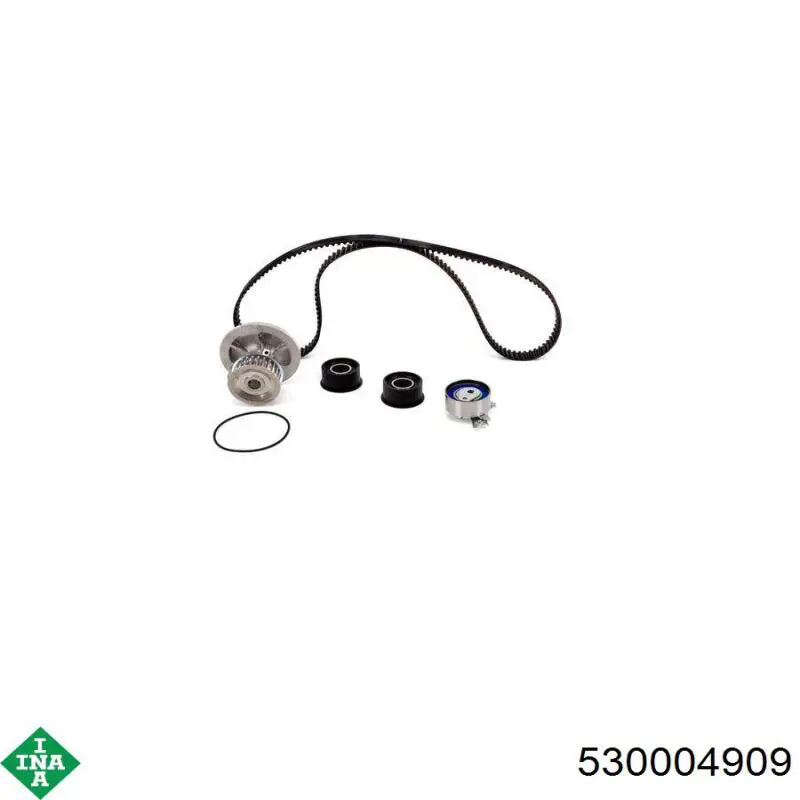 Комплект ГРМ 530004909 INA