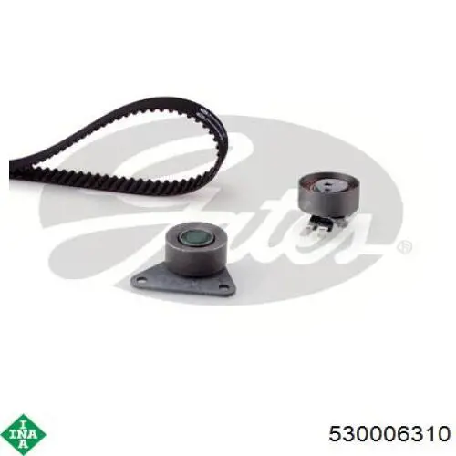 Купить 530006310 INA Комплект ГРМ