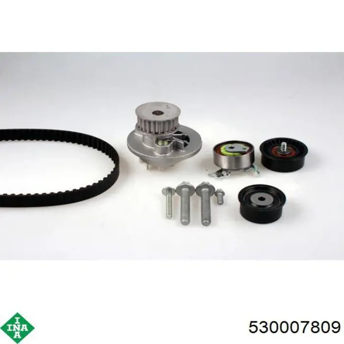 Купить 530007809 INA Комплект ГРМ