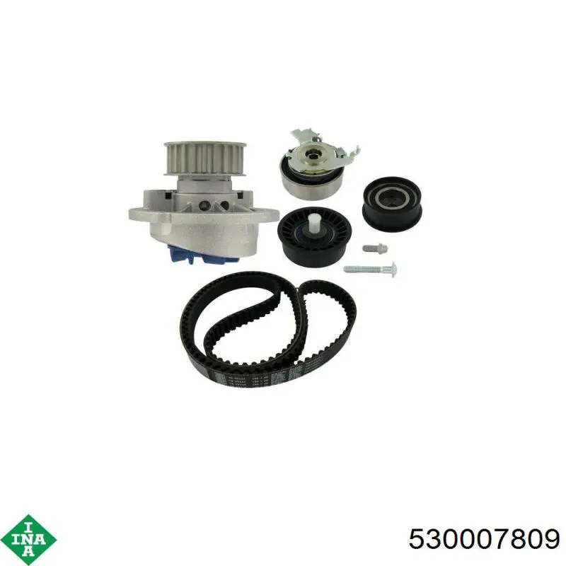 Комплект ГРМ 530007809 INA