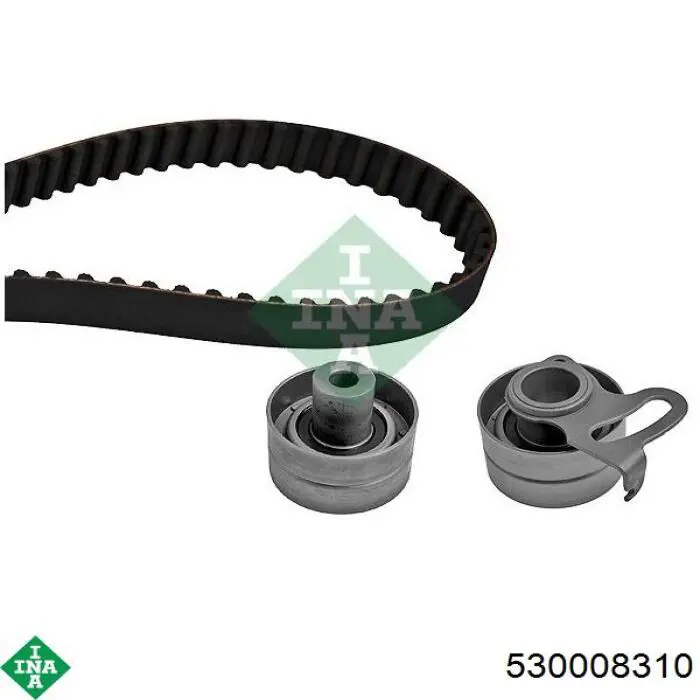 530008310 INA
