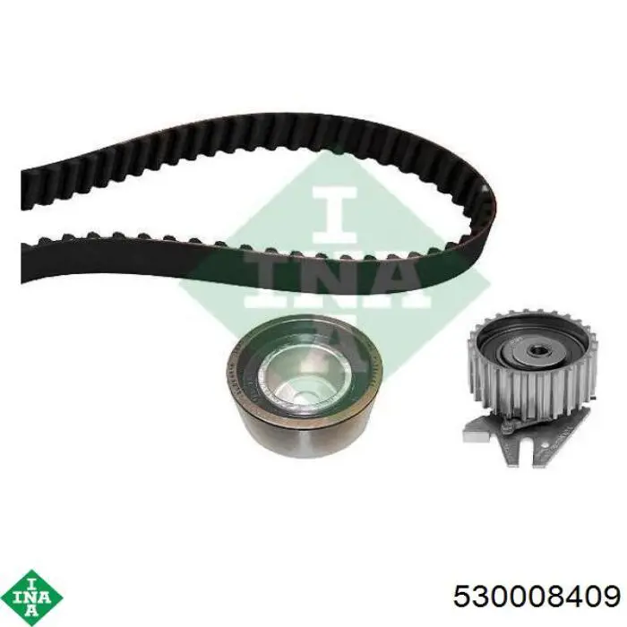 Комплект ГРМ 530008409 INA