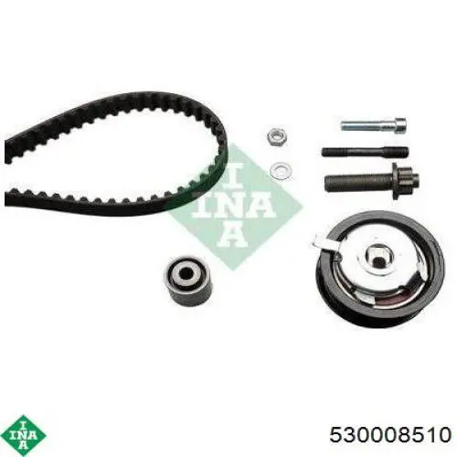 Комплект ГРМ 530008510 INA