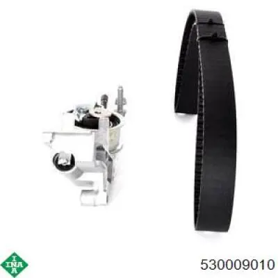 Комплект ГРМ 530009010 INA