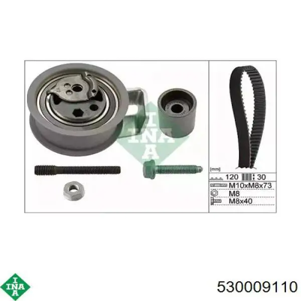 Комплект ГРМ 530009110 INA