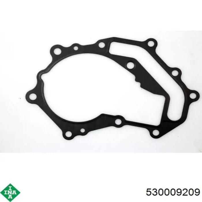 Купить 530009209 INA Комплект ГРМ