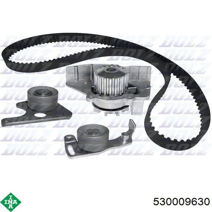 Комплект ГРМ 530009630 INA