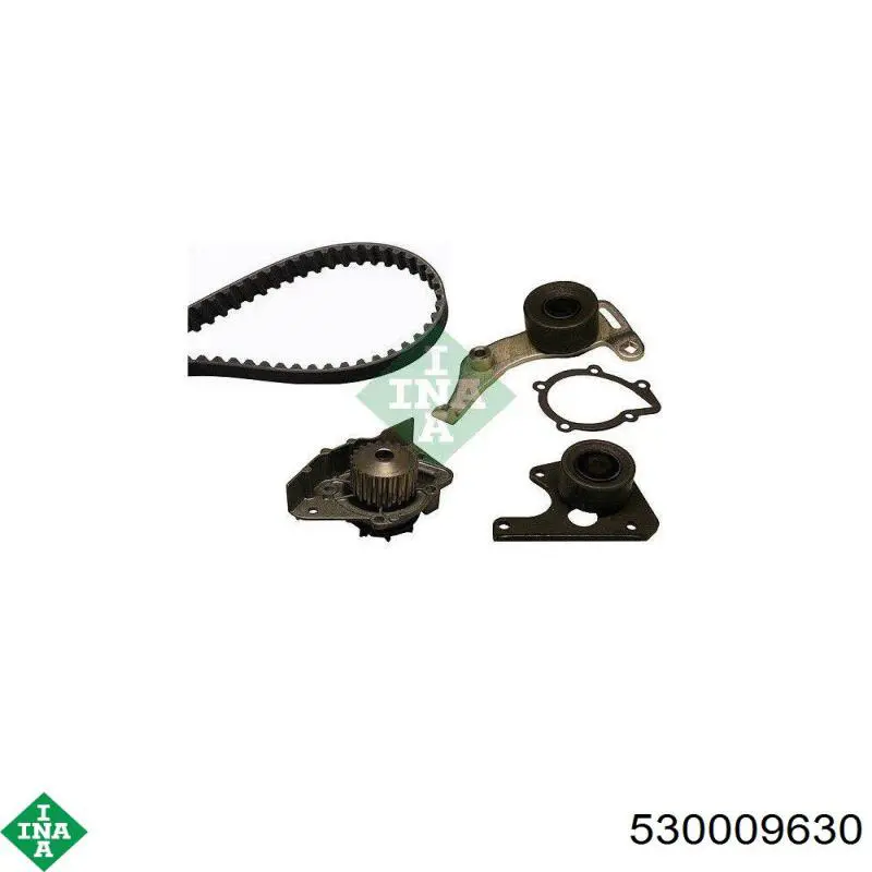 ГРМ ремни, комплект INA 530009630 цена, от 101.10 USD