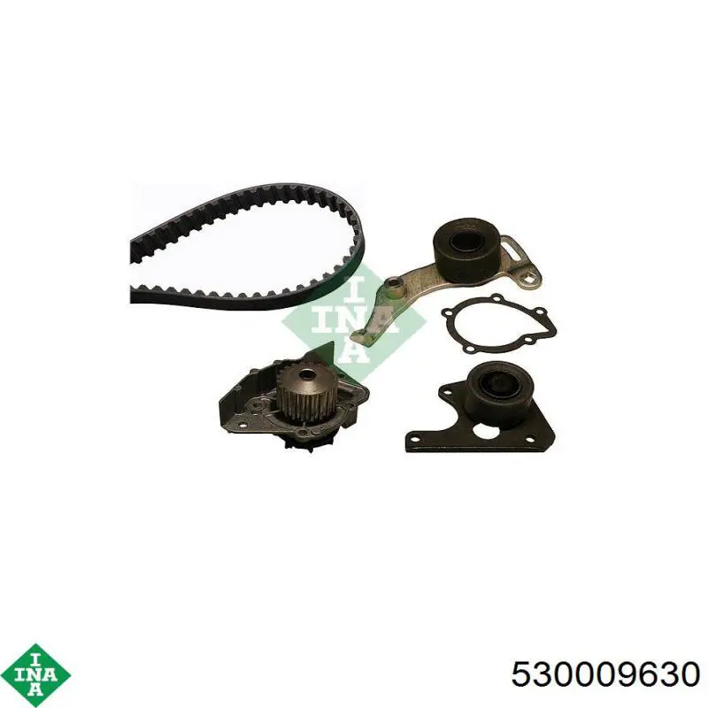 Купить 530009630 INA Комплект ГРМ