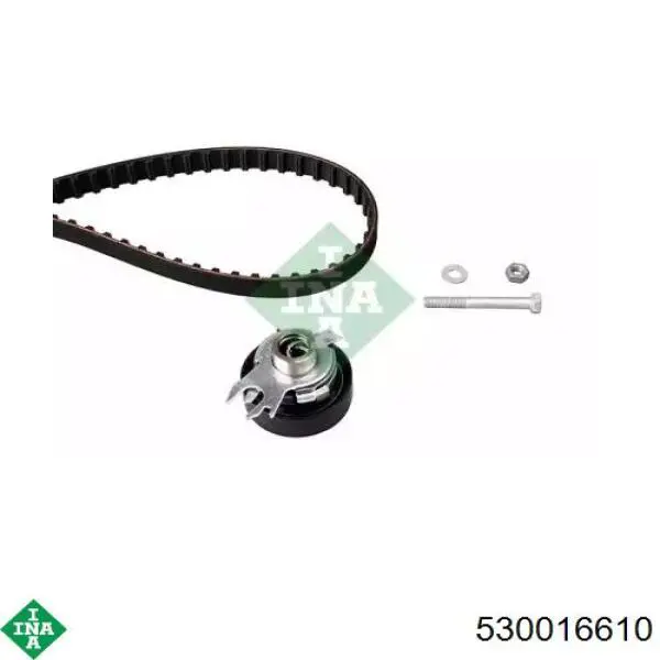Купить 530016610 INA Комплект ГРМ