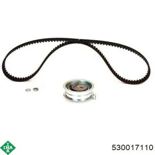 530017110 INA Комплект ремня ГРМ