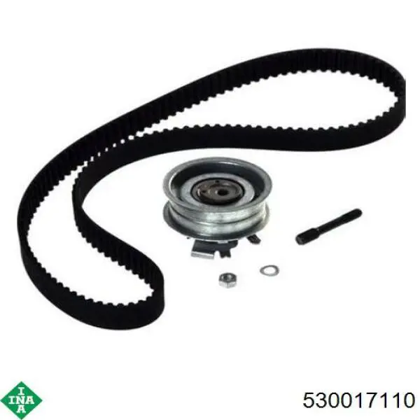 Комплект ГРМ 530017110 INA