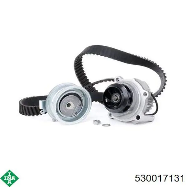Купить 530017131 INA Комплект ГРМ
