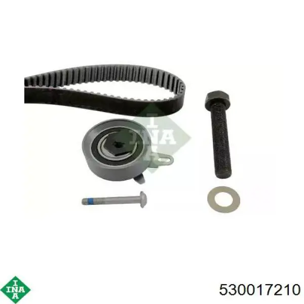 Купить 530017210 INA Комплект ГРМ