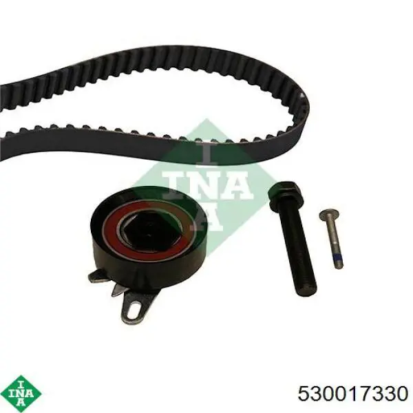 Комплект ГРМ 530017330 INA