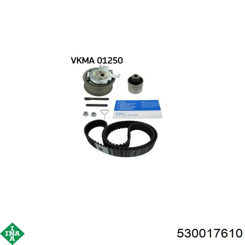 Купить 530017610 INA Комплект ГРМ